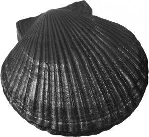 Камень КЧР-2  РАКУШКА БОЛЬШАЯ  чугунный для бани (ГБ: 142 х 141 х 67 мм) ЛИТКОМ